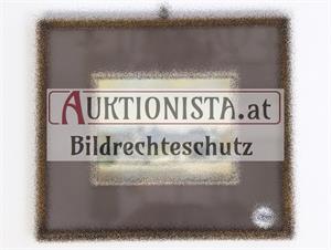 Online-Katalog  Auktionista eU